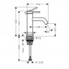 HANSGROHE Tecturis S 80 batéria umývadlová stojanková pre studenú alebo predom namiešanú vodu, EcoSmart+, chróm 73313000